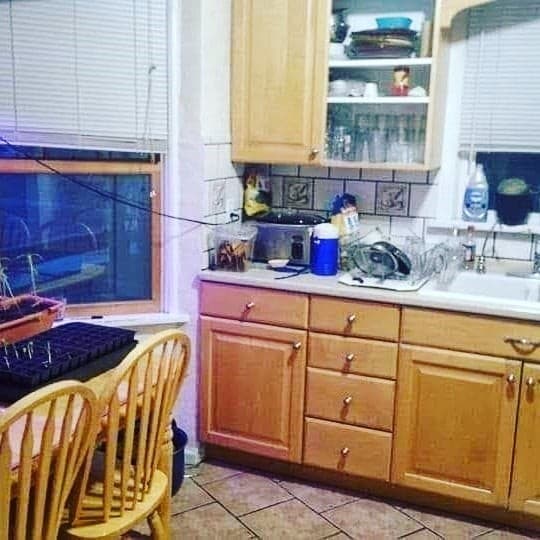 Salt Lake City Other: 207 E Kelsey Ave