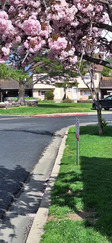 West Valley City Single Room: 1896 W Homestead Farms Ln