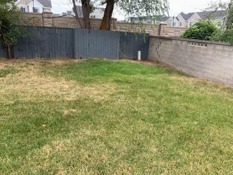 Sandy House: 798 E Scirlein Dr