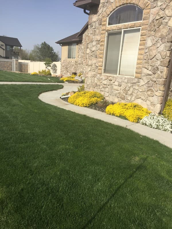 South Jordan Single Room: 11061 S Lucas Ln