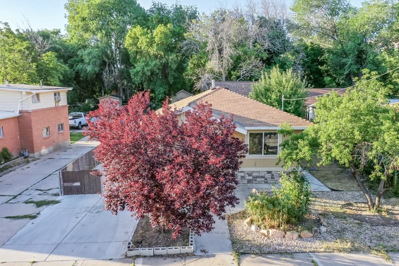 Ogden House: 576 8th St