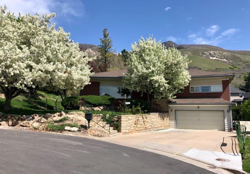 Ogden Single Room: 3530 Kingston Cir