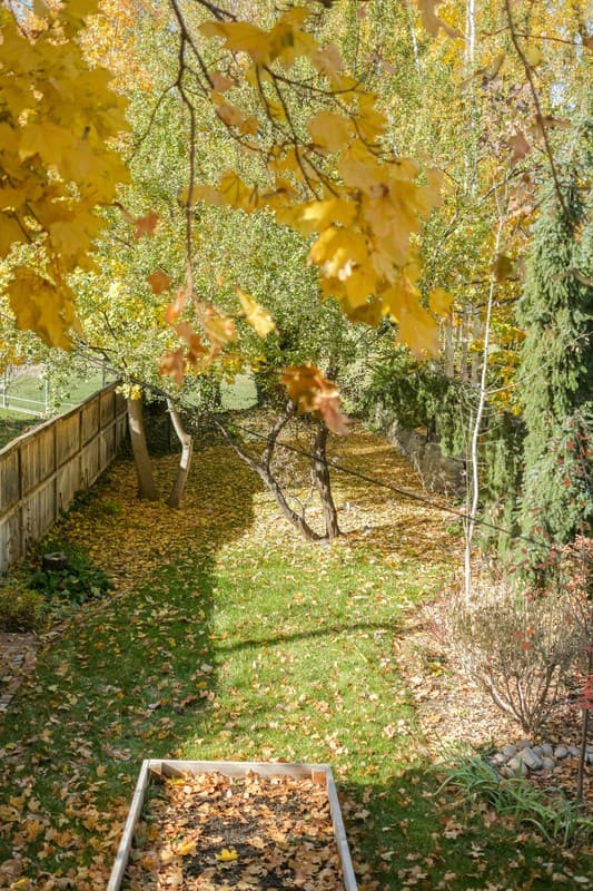 Salt Lake City Apartment: 30 S 1200 E