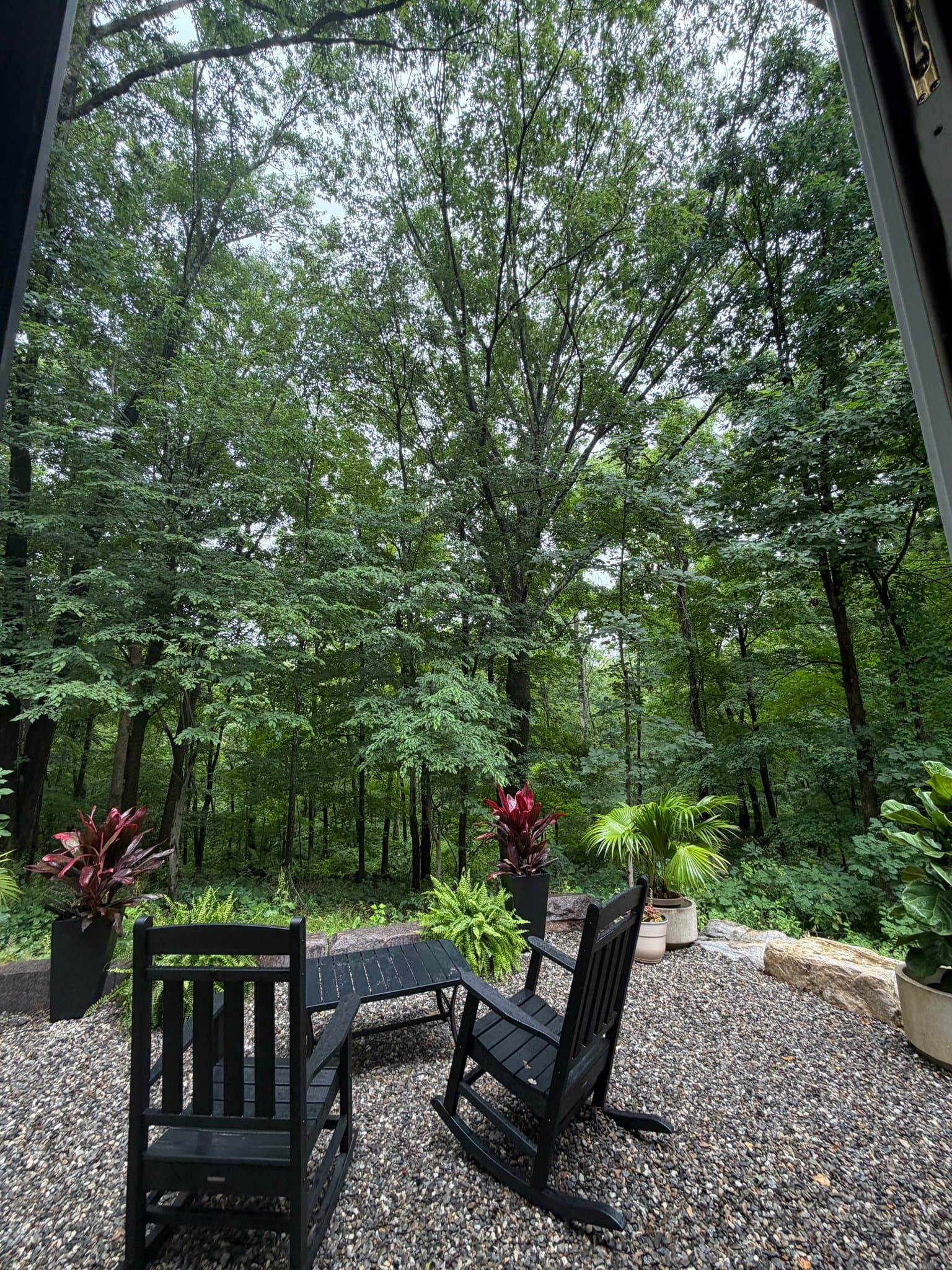 Ridgefield House: 300 Chestnut HIll Road