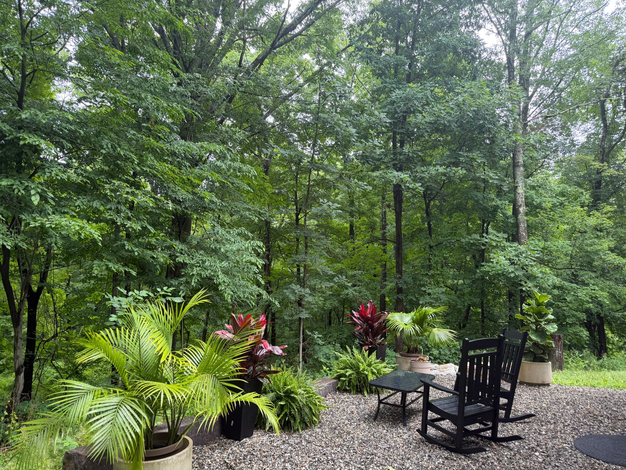 Ridgefield House: 300 Chestnut HIll Road