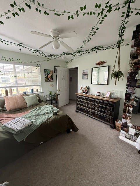 Fort Collins Other: 1014 Andrews Peak