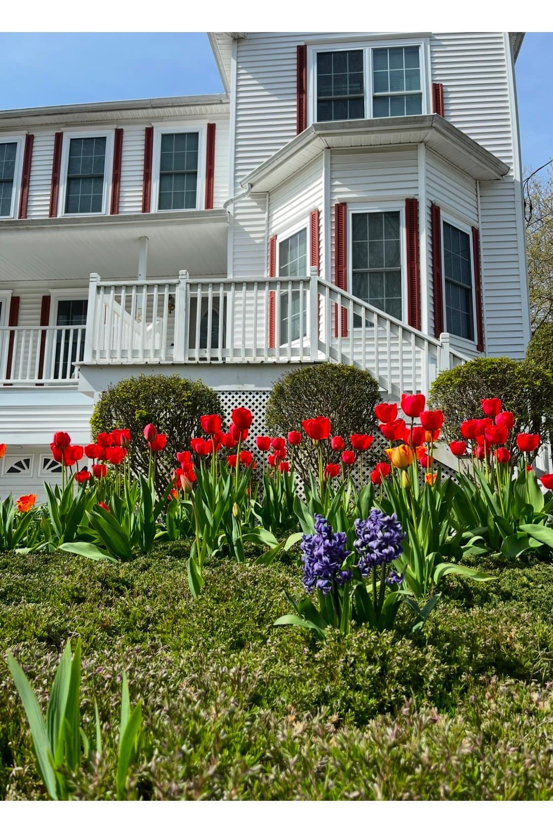 Marblehead Single Room: 39 Smith St