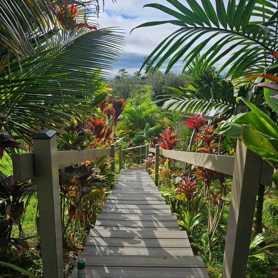 Hilo House: 2979 Kaiwiki Rd