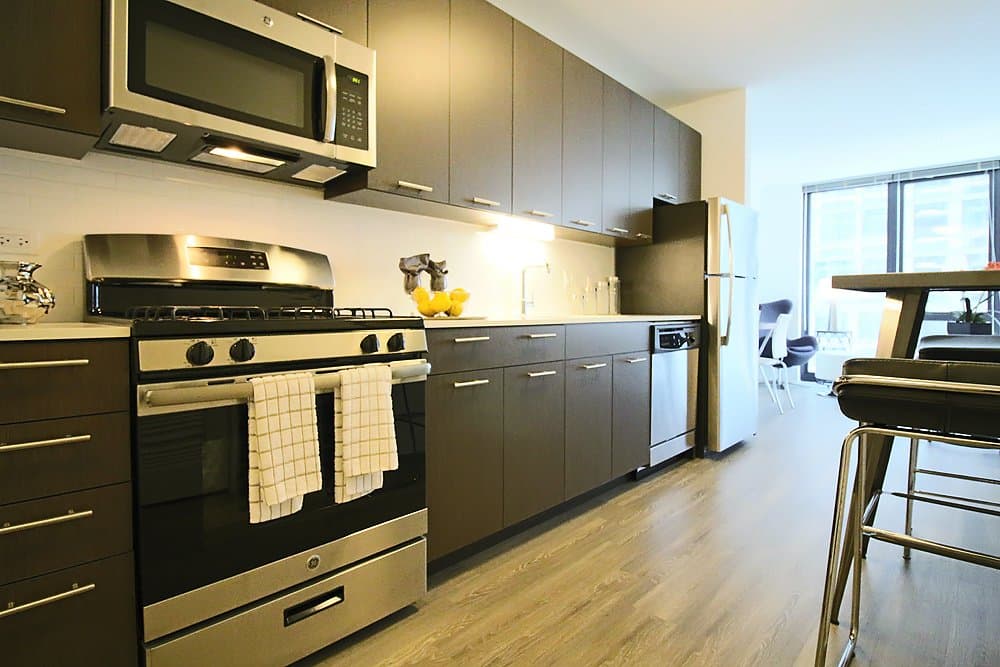 Chicago Apartment: 617 N Wells St