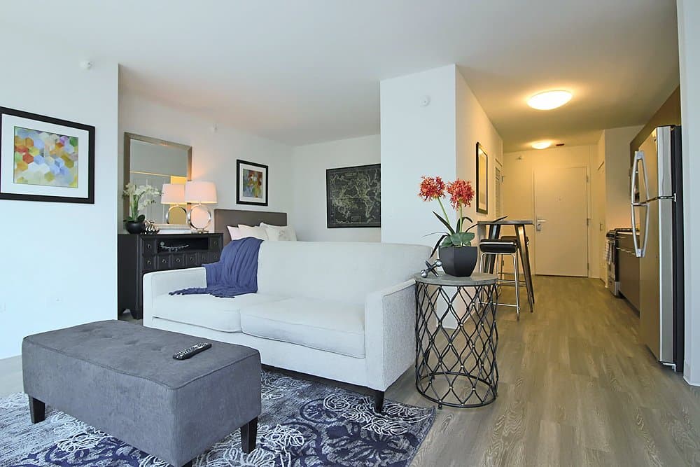 Chicago Apartment: 617 N Wells St