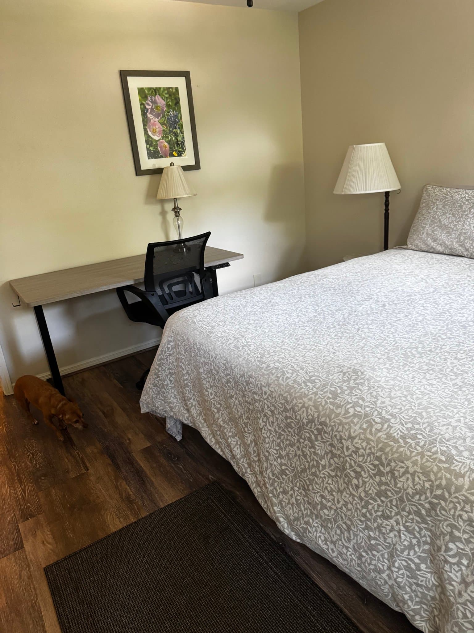 Spring Single Room: 7618 Cheyne Circle