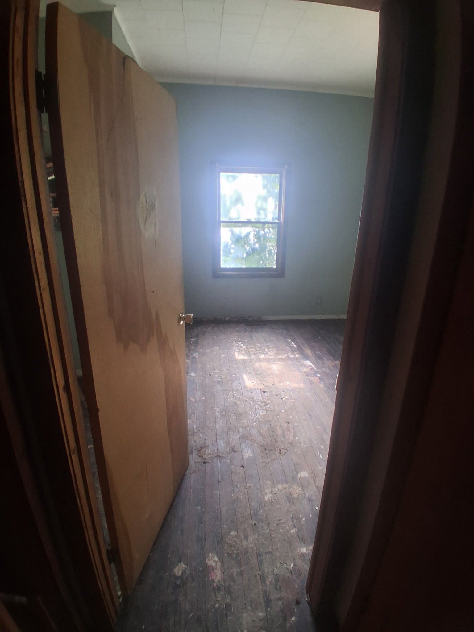 Carbondale House: 615 N Almond St