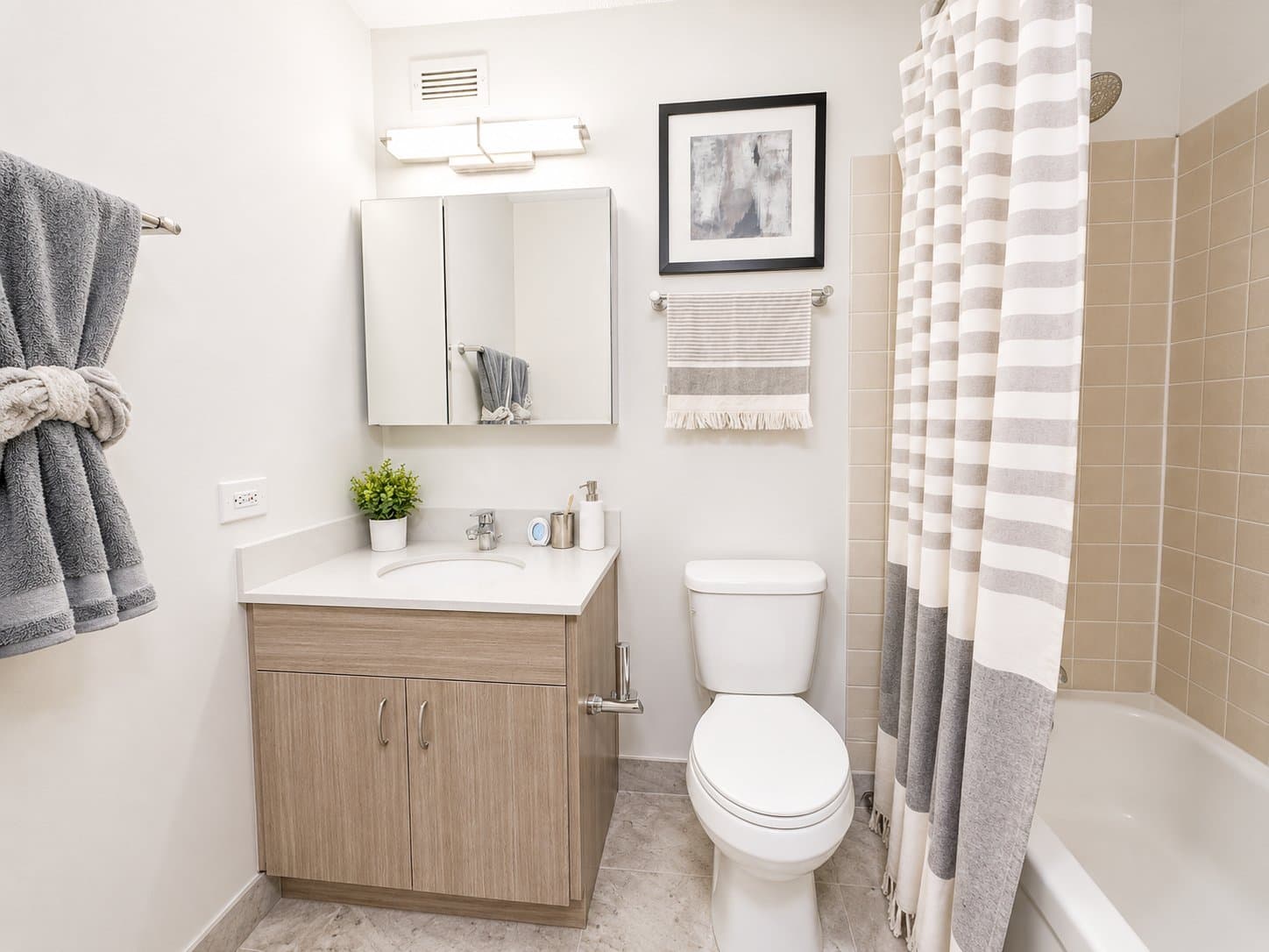 Chicago Condo: 1122 N Dearborn