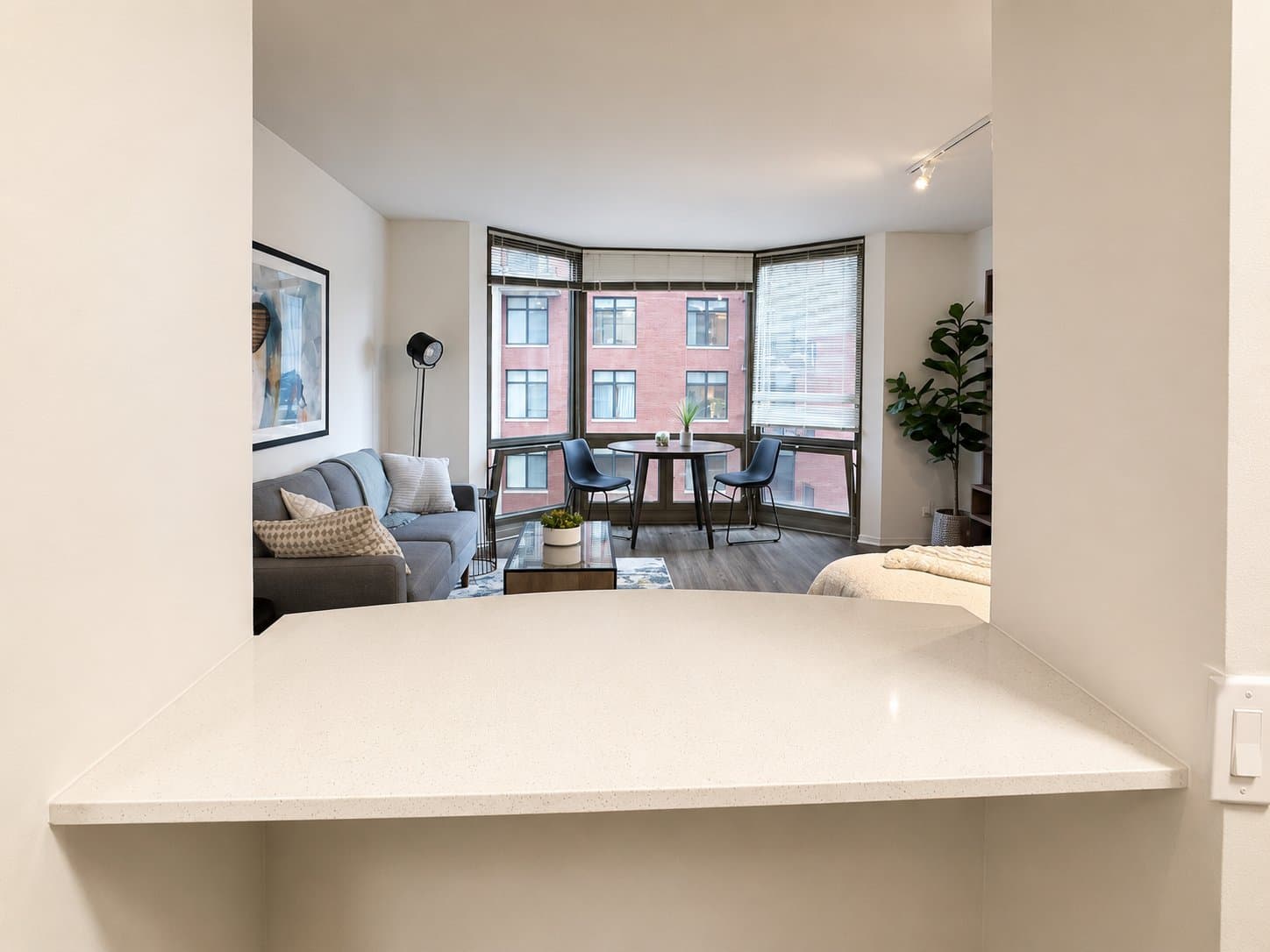 Chicago Condo: 1122 N Dearborn