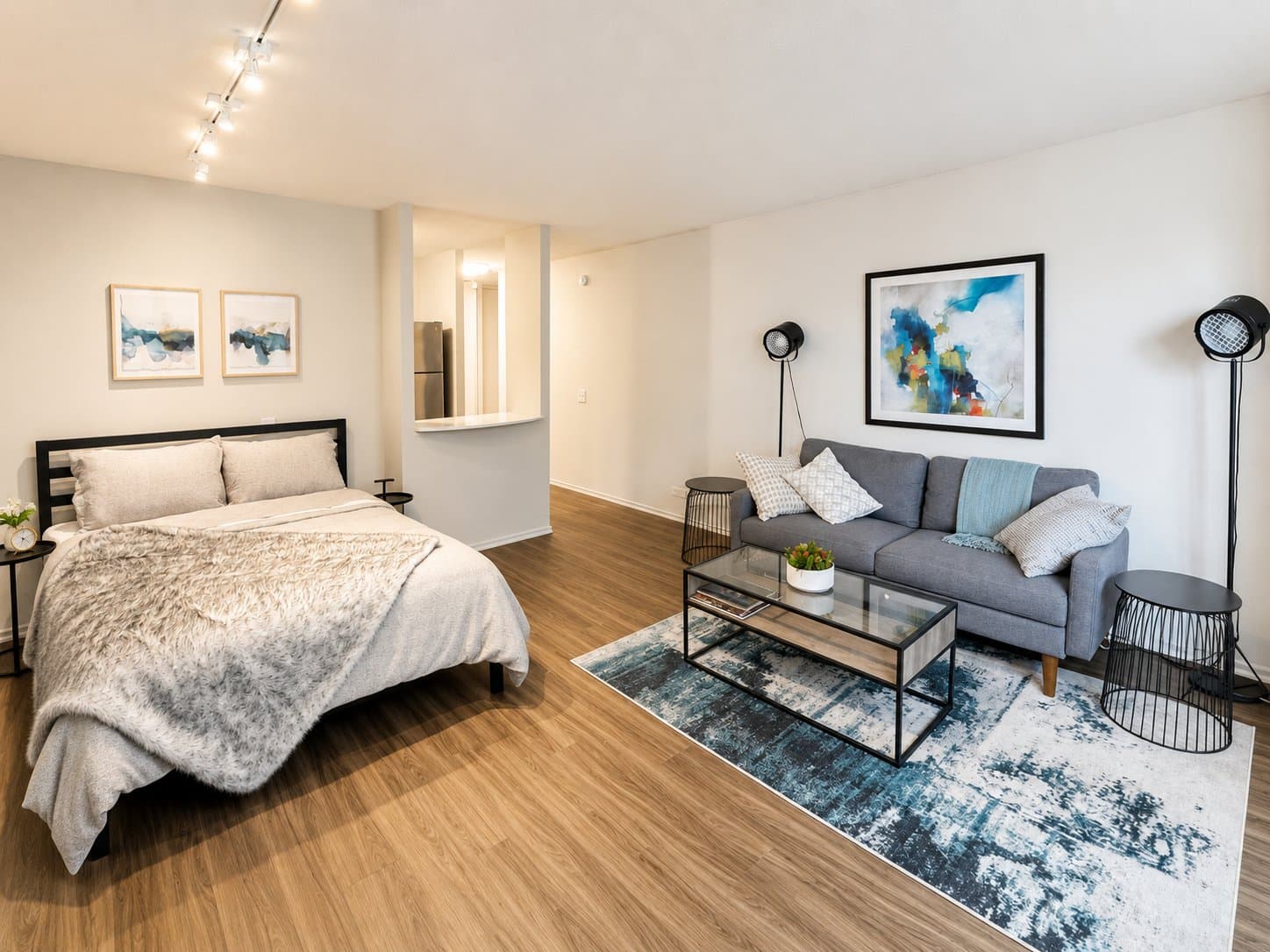 Chicago Condo: 1122 N Dearborn