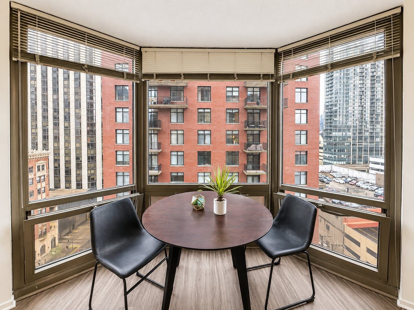 Chicago Condo: 1122 N Dearborn