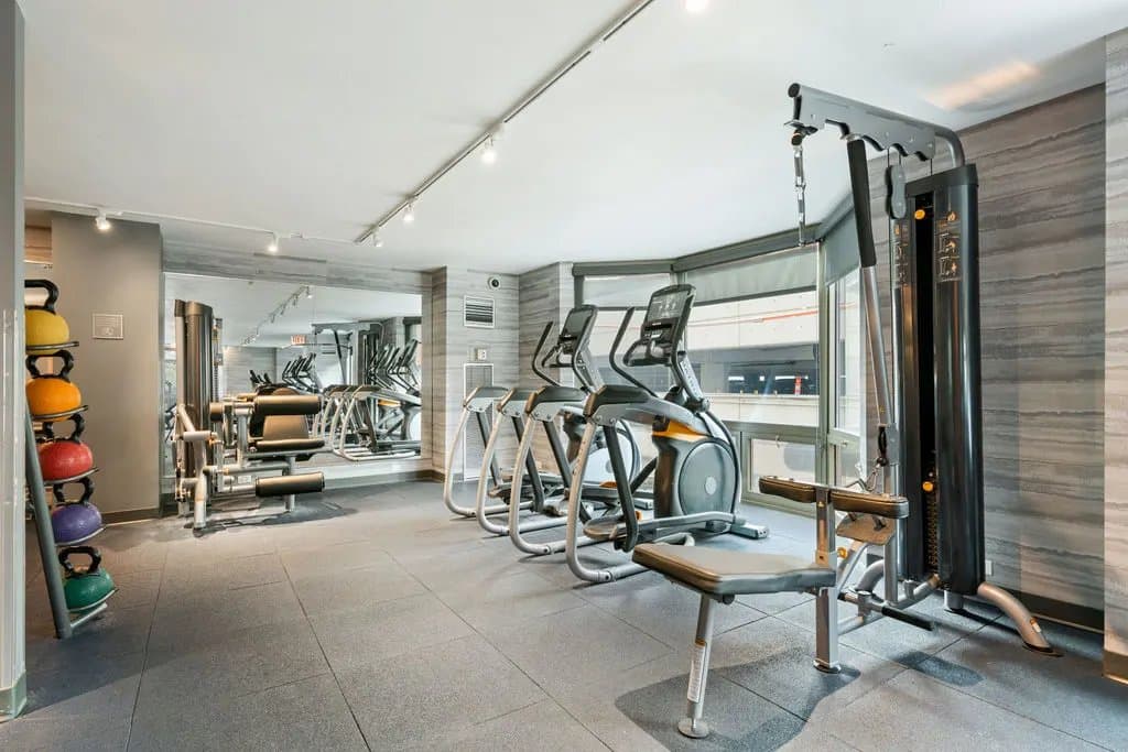 Chicago Condo: 1122 N Dearborn