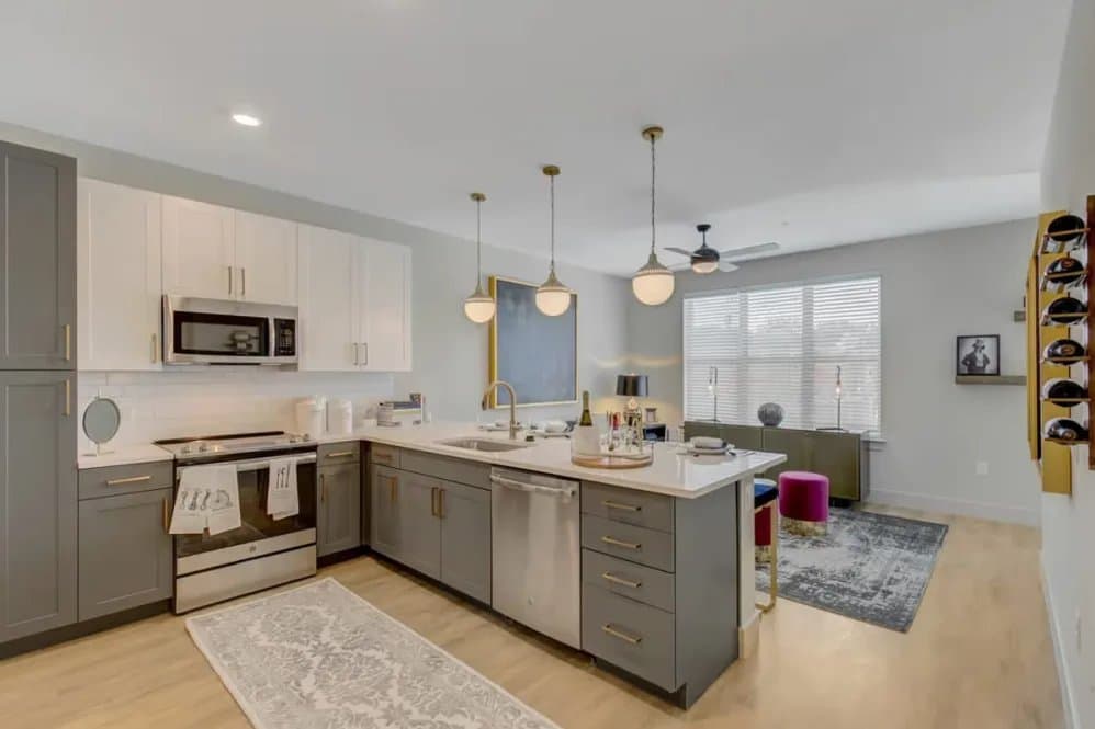 Dallas Apartment: 111 W Davis St