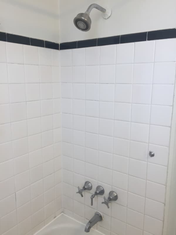 Greenville Condo: 601 Cleveland Street