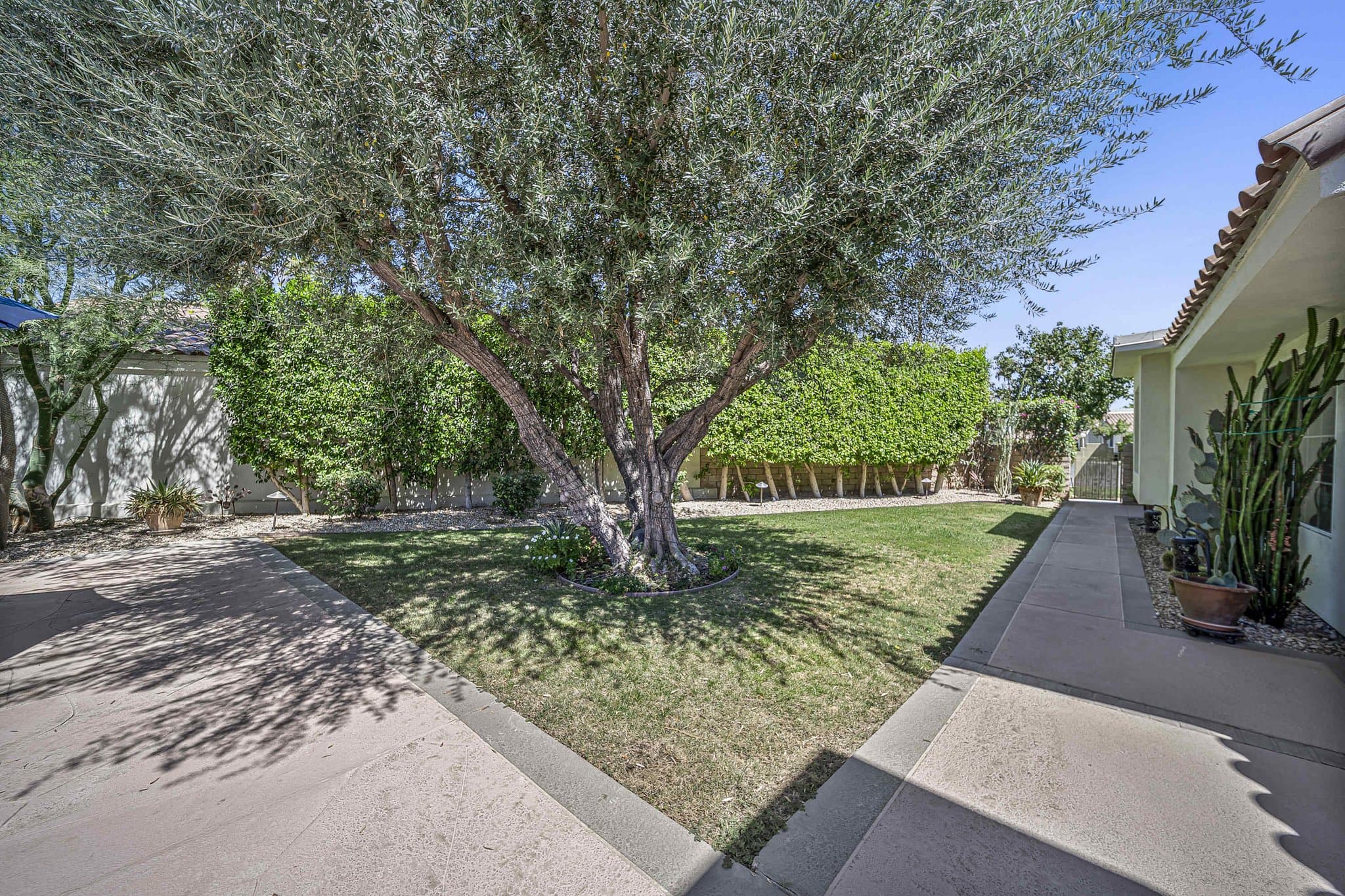 Palm Desert House: 77779 St Augustine Dr.