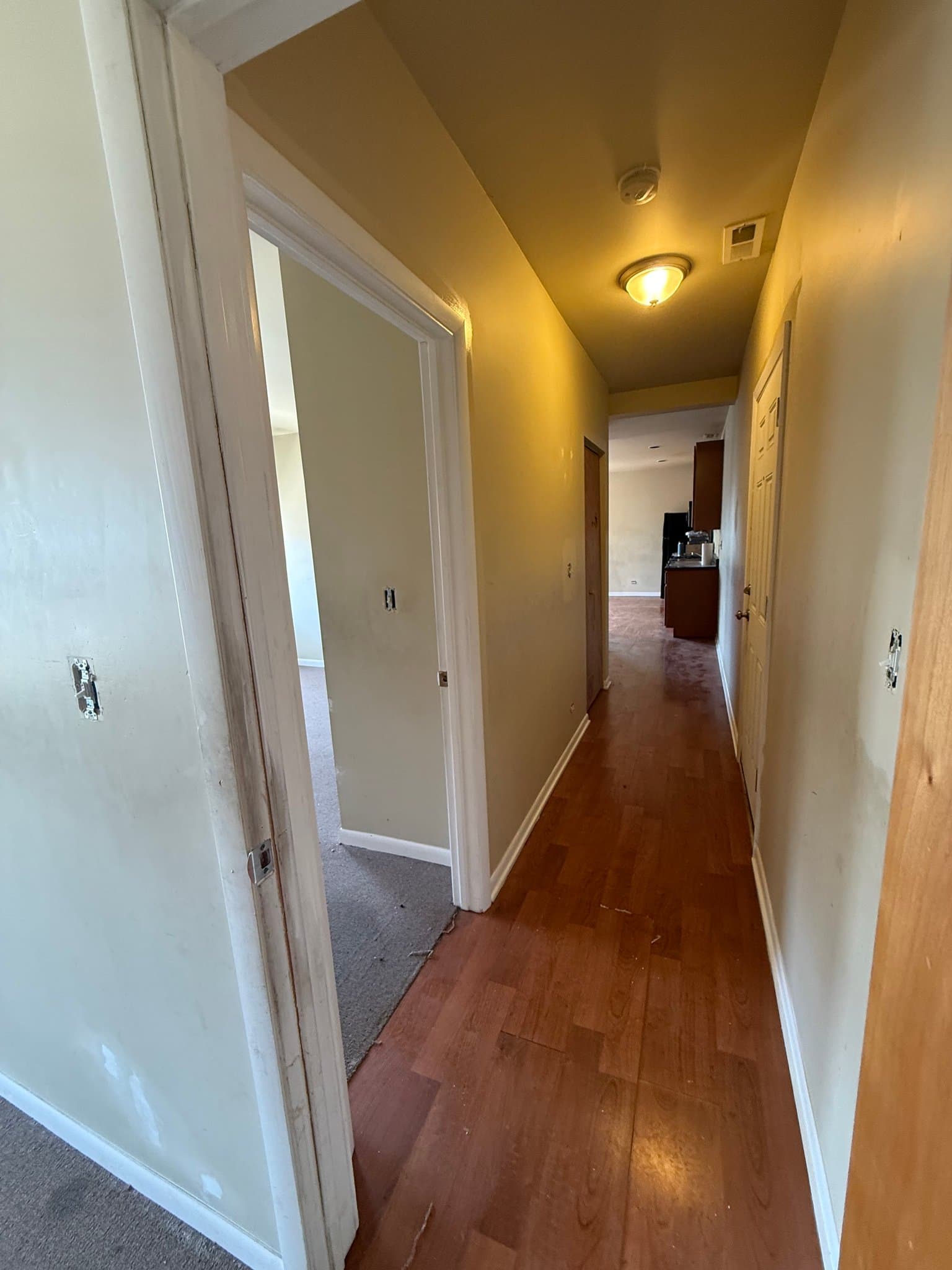 Chicago Apartment: 1904 E 79th St