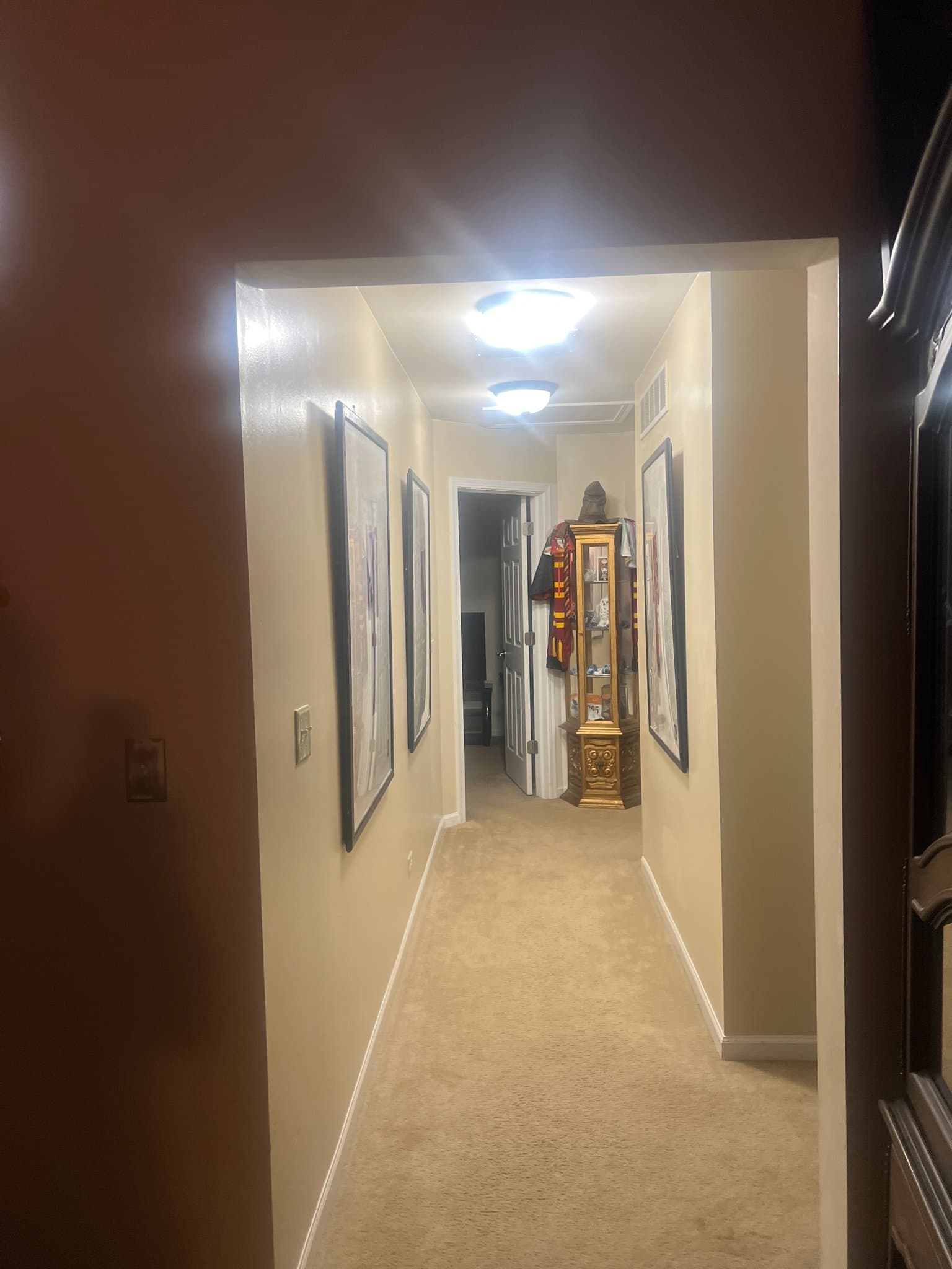 Lakemoor Townhome: 659 Arbor Cir
