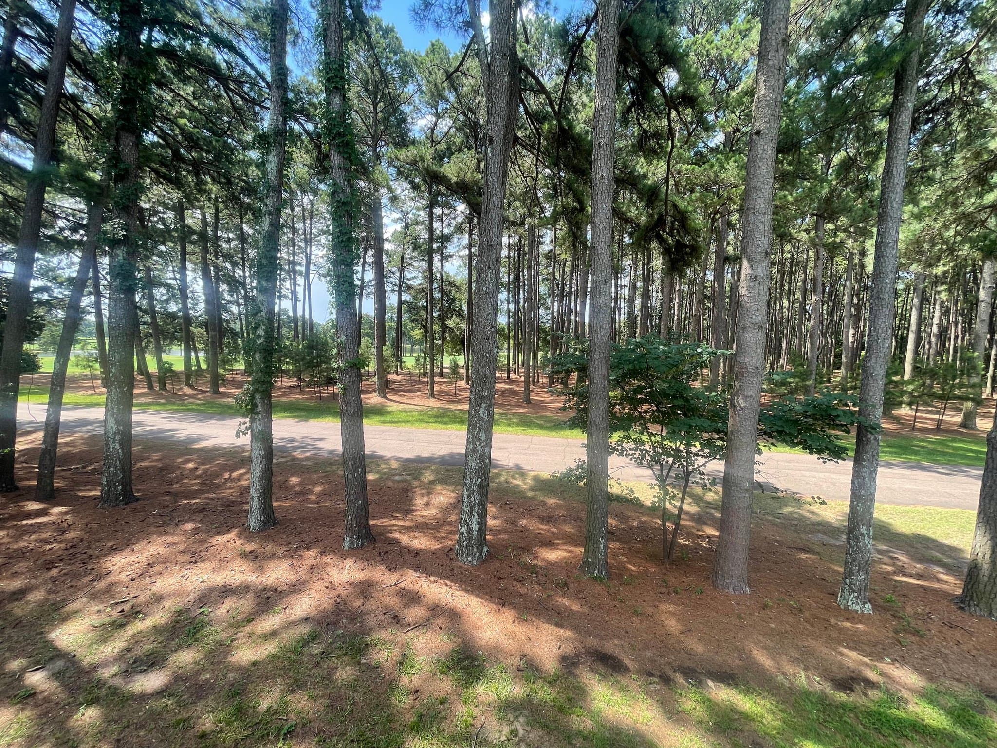 Texarkana Condo: 1420 Accomac Pl