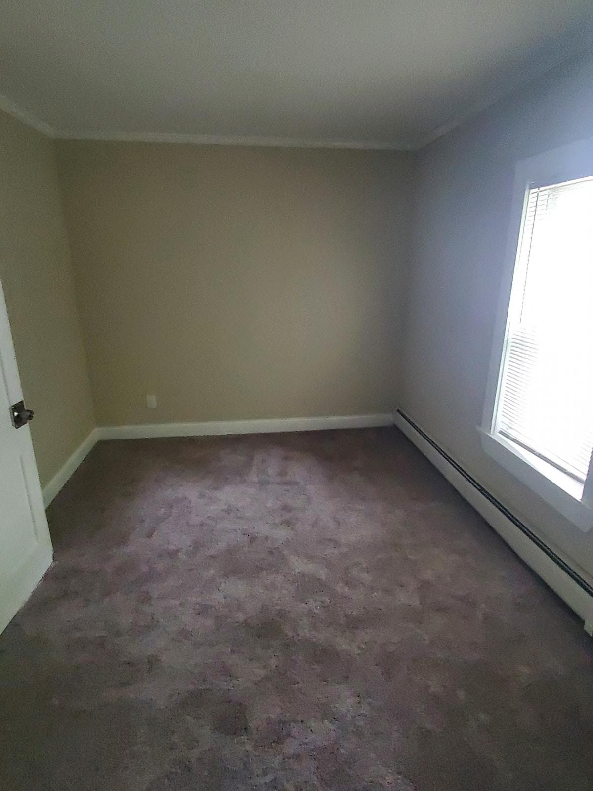 Webster Multiplex: 12R Prospect St