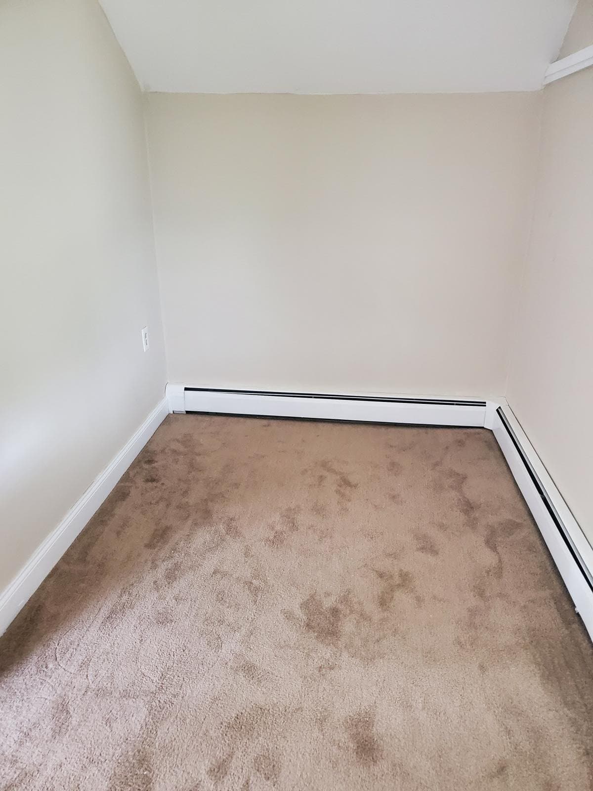 Webster Multiplex: 12R Prospect St