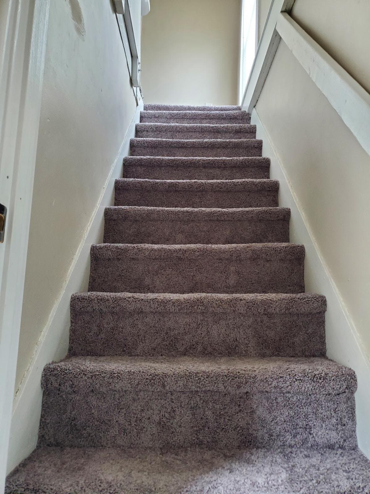 Webster Multiplex: 12R Prospect St