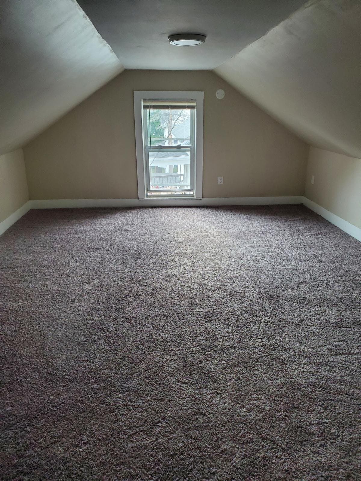 Webster Multiplex: 12R Prospect St
