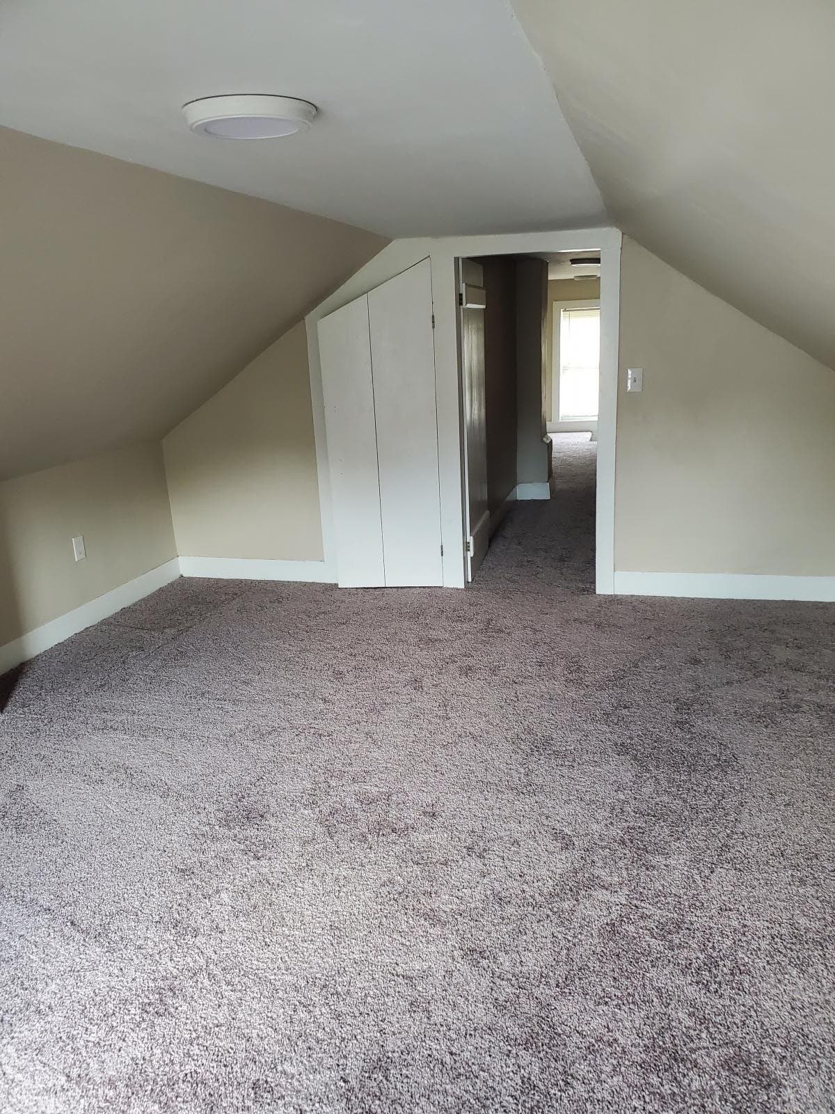 Webster Multiplex: 12R Prospect St