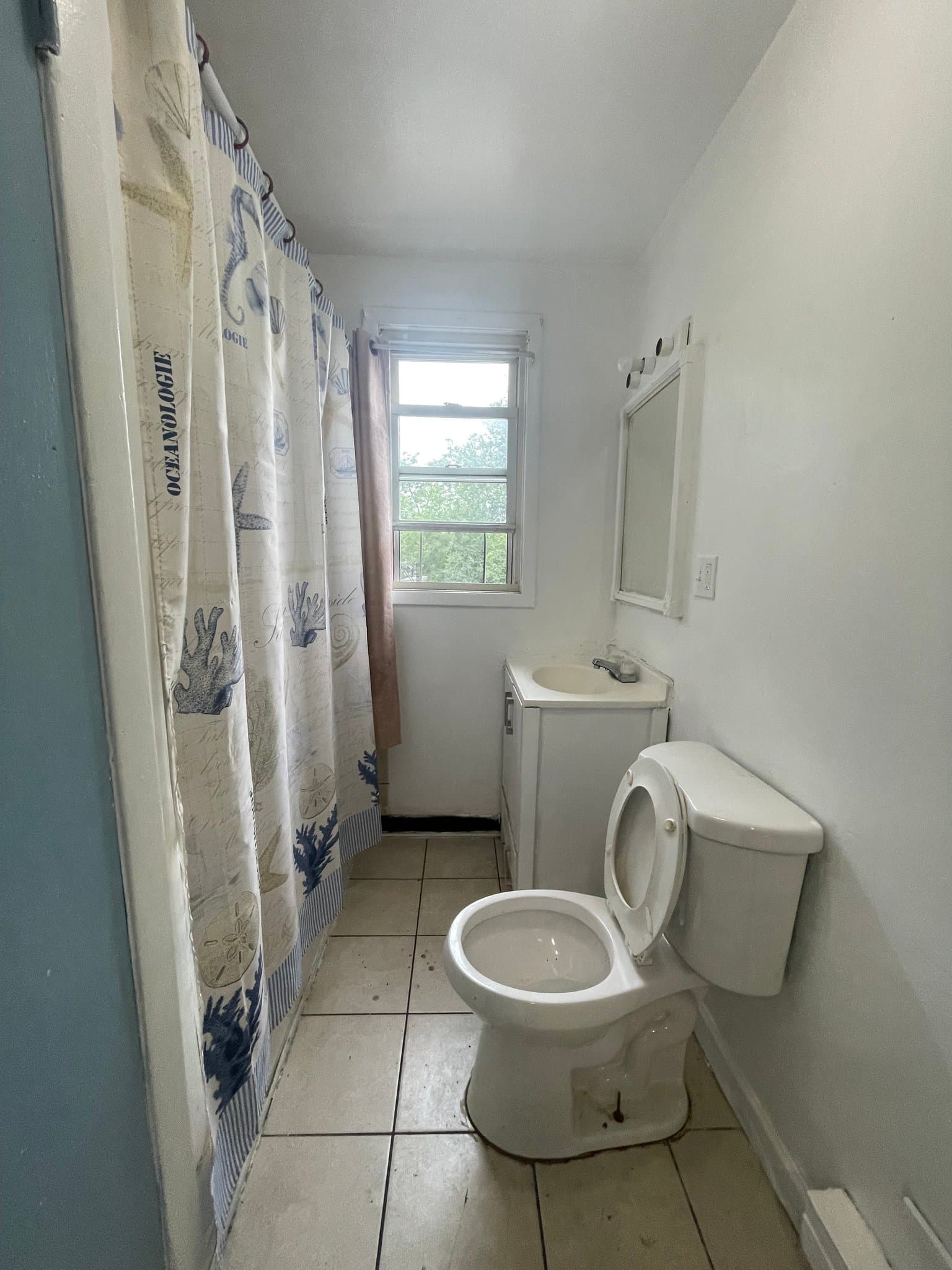 Elizabeth Single Room: 62 Dehart Pl