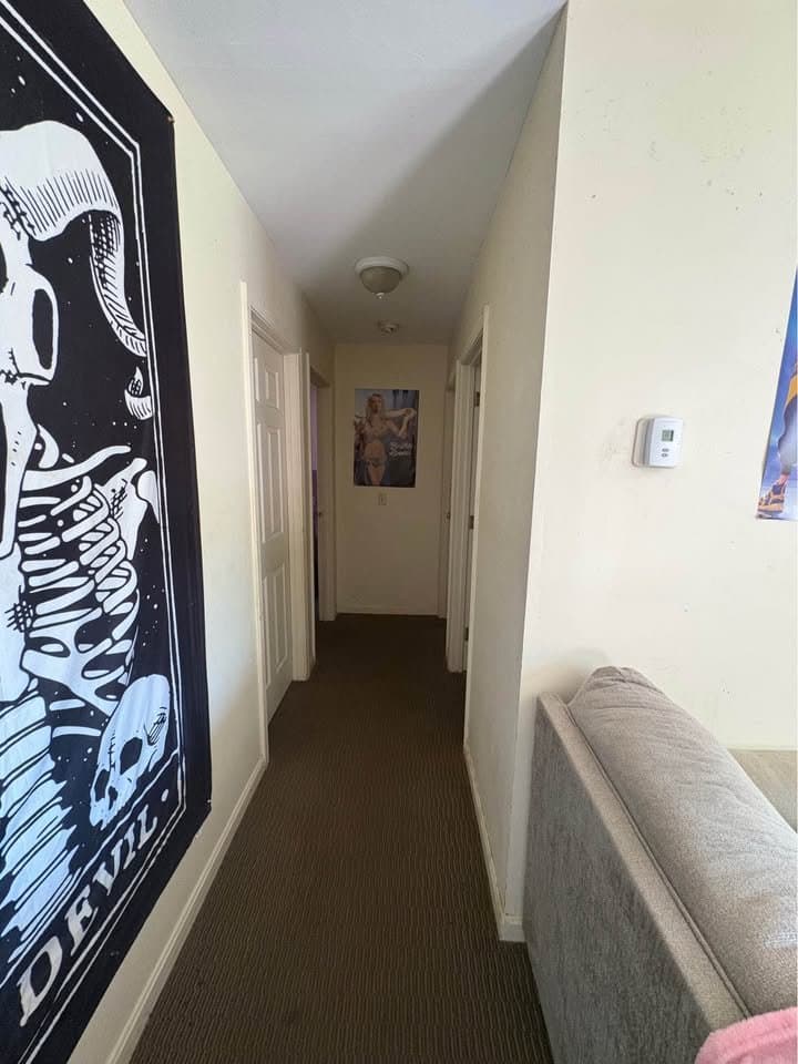 Bristol Multiplex: 111 Mountain St