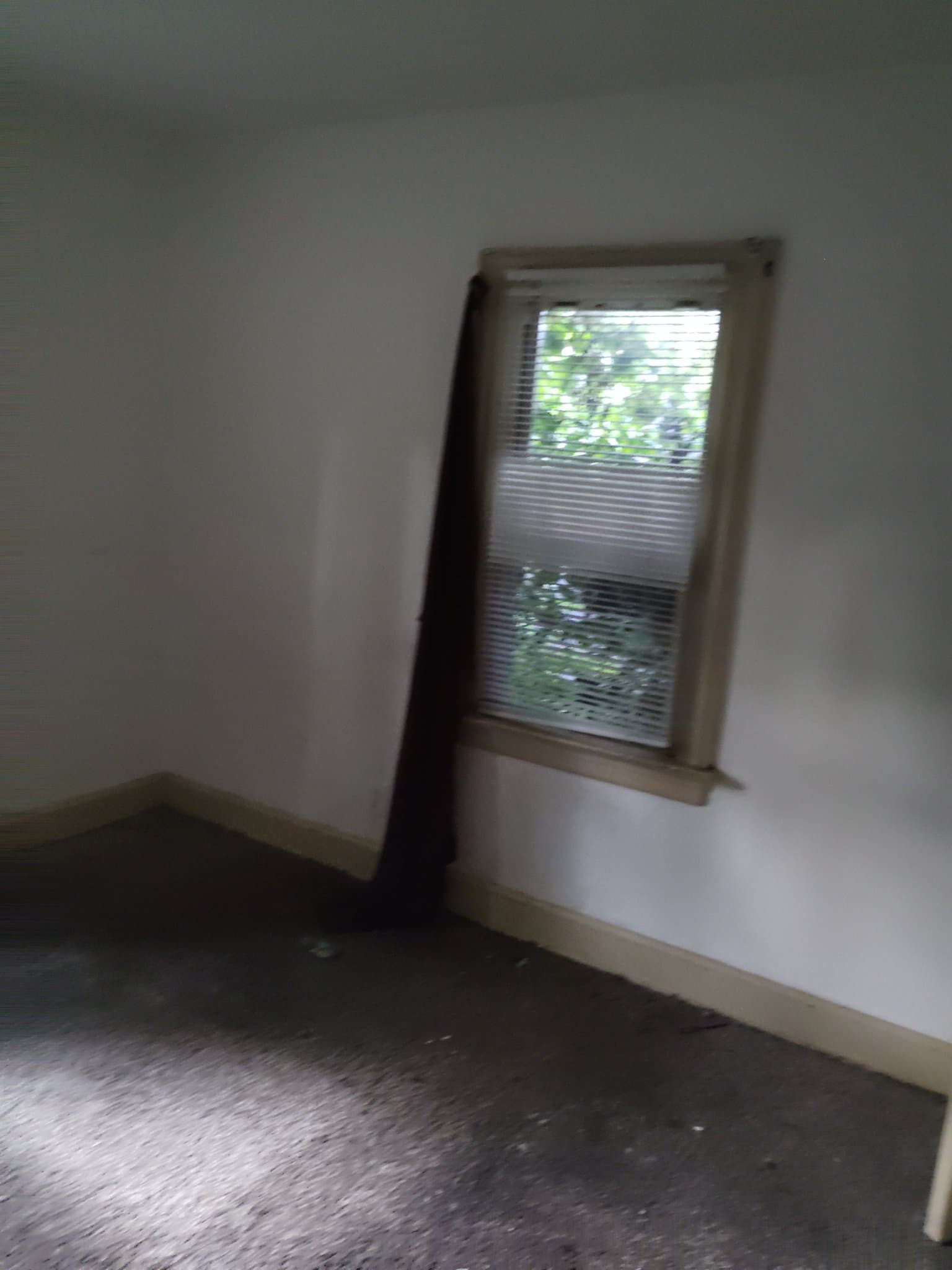 St. Louis House: 3729 Avondale Avenue