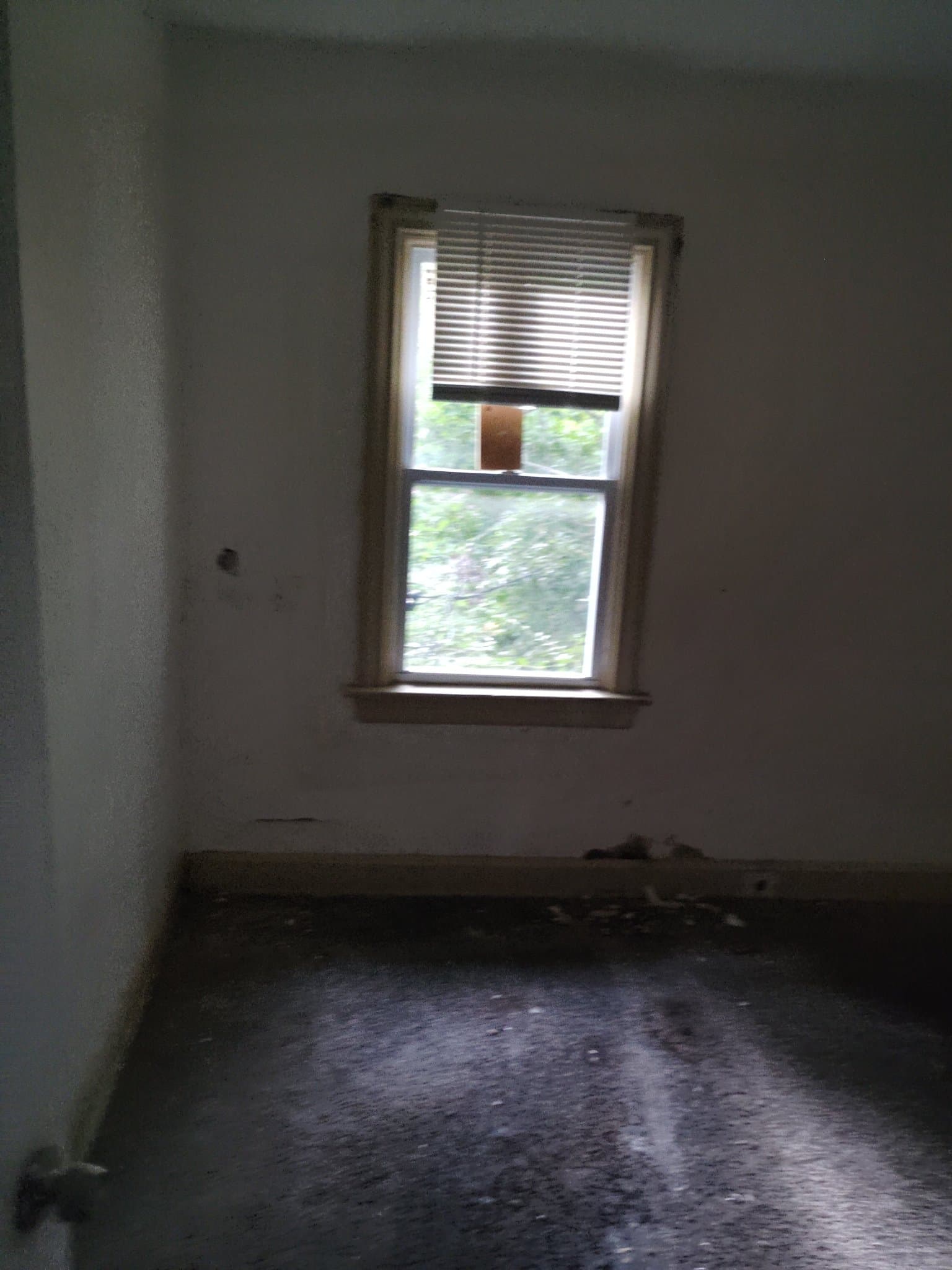 St. Louis House: 3729 Avondale Avenue