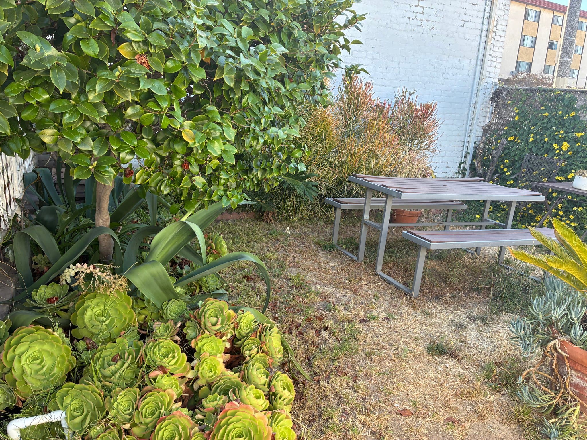 San Pedro House: 867 W 9th St