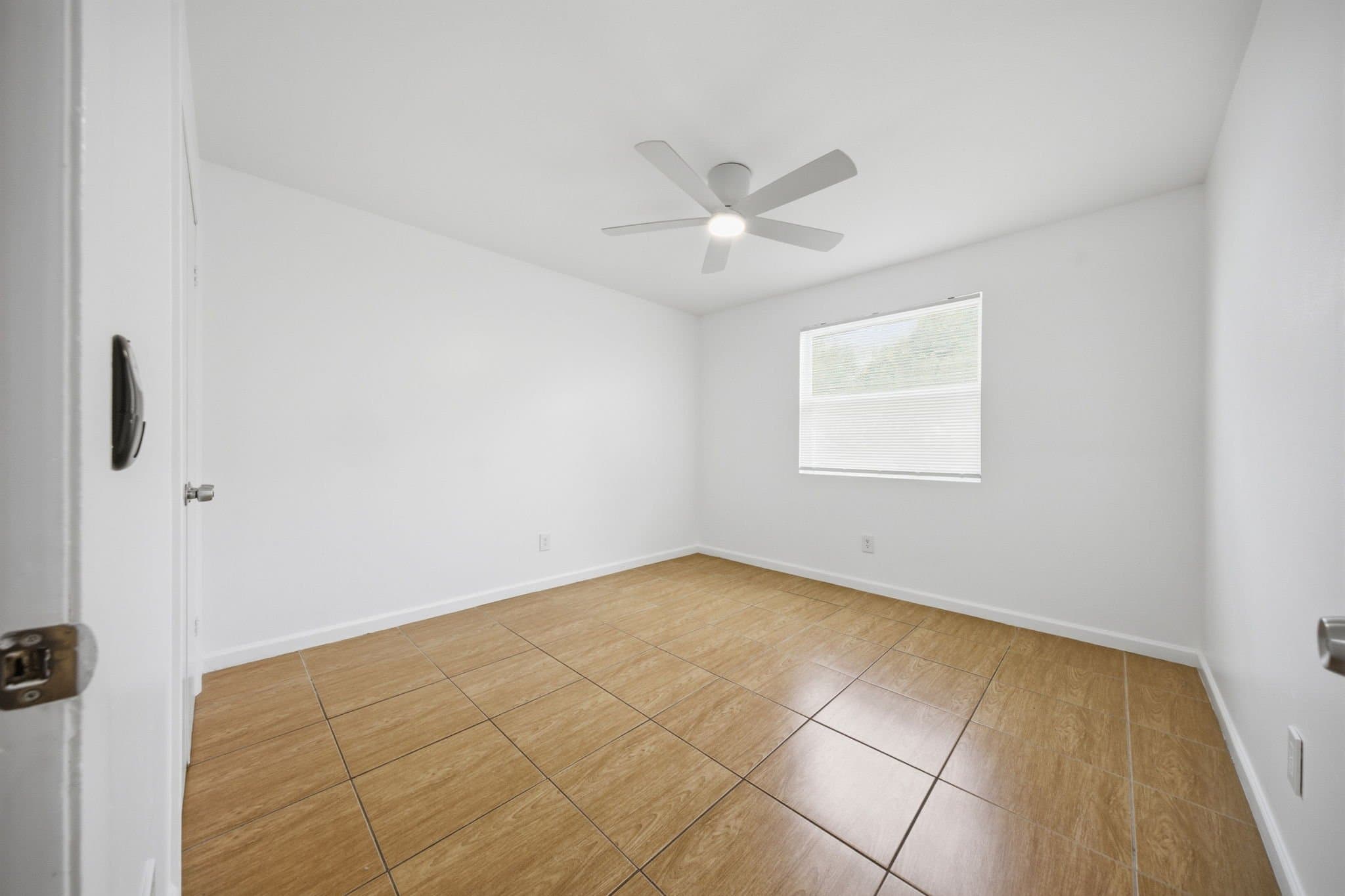 tampa Multiplex: 310 e frances ave