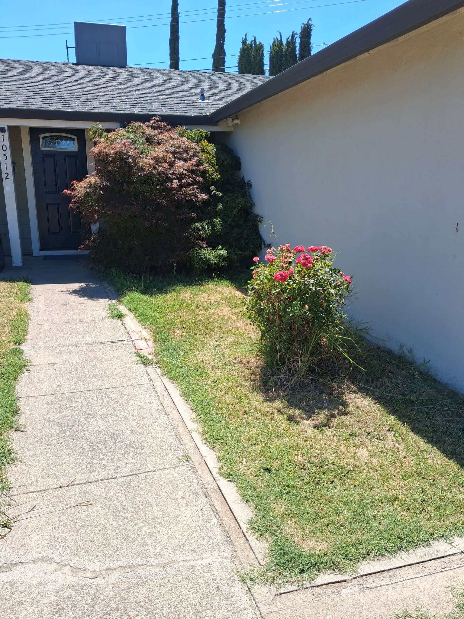 Rancho Cordova Single Room: 10500 Glenview Way