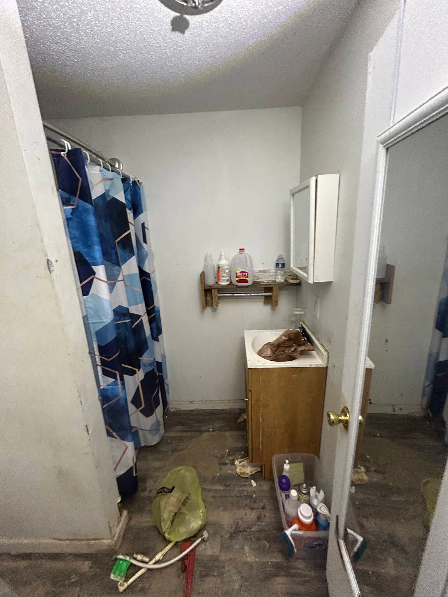 Alton House: 4 W Delmar Ave