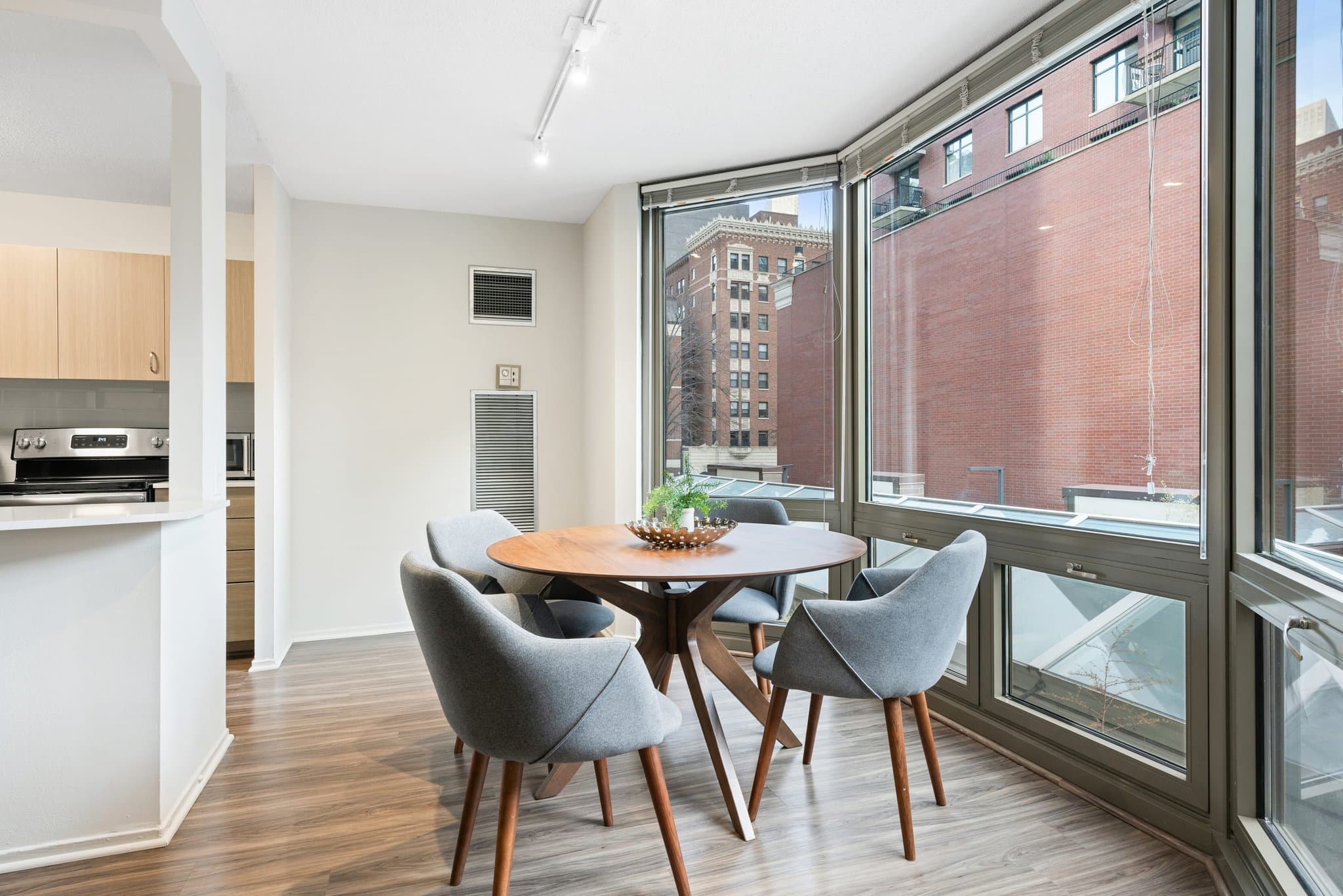 Chicago Condo: 55 W Elm Street
