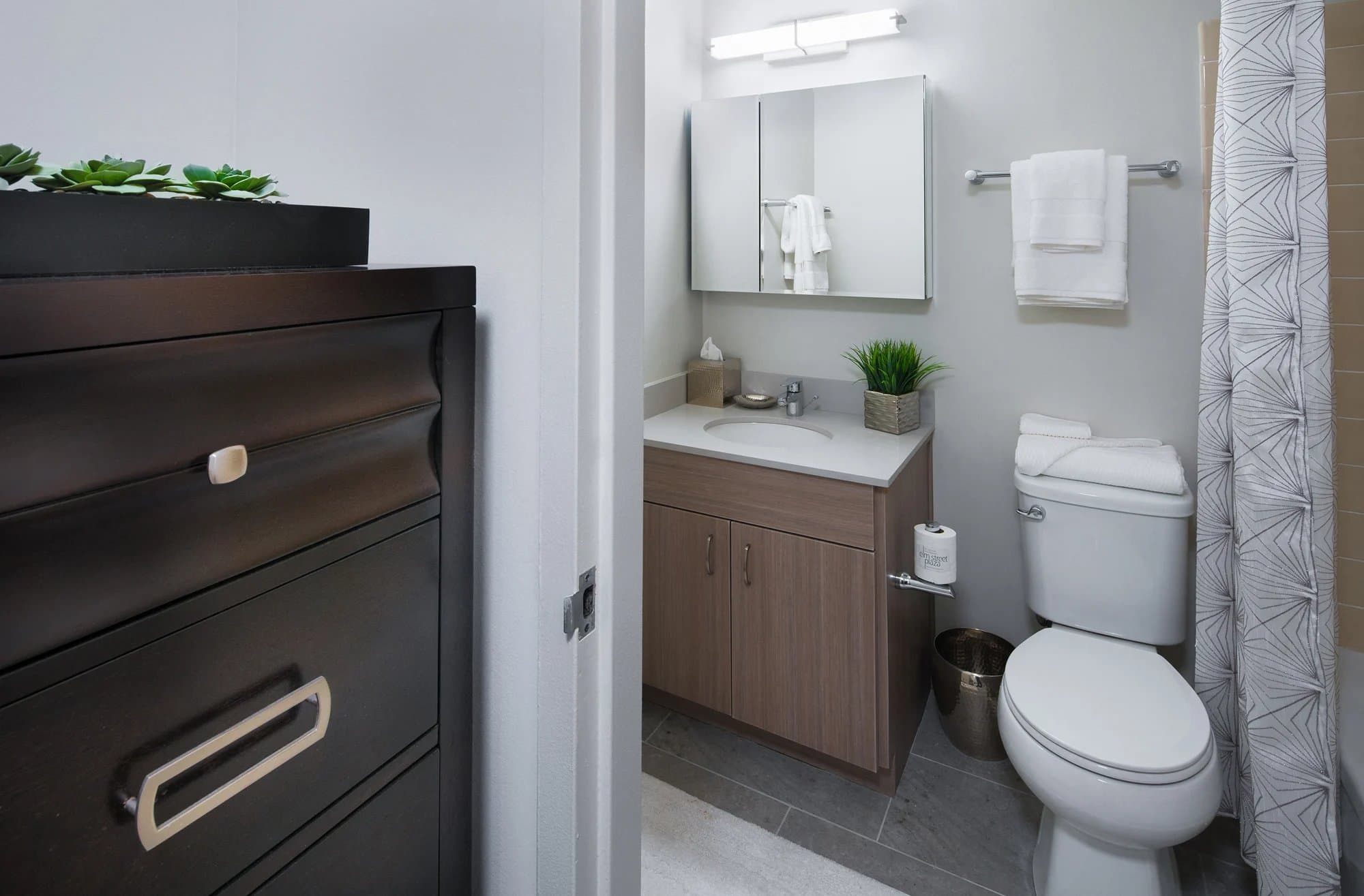 Chicago Condo: 55 W Elm Street