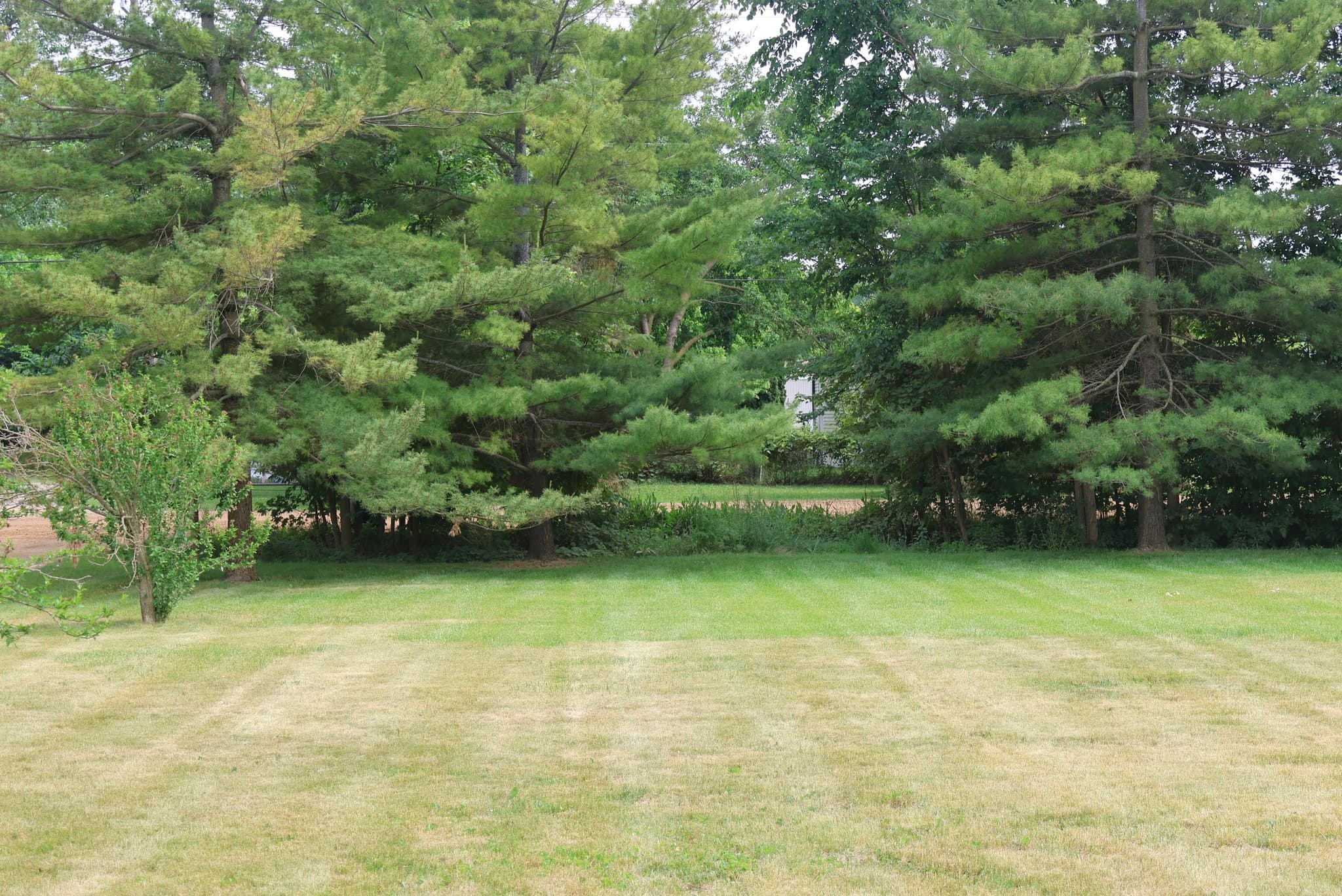 CANTON Single Room: 50990 MOTT ROAD