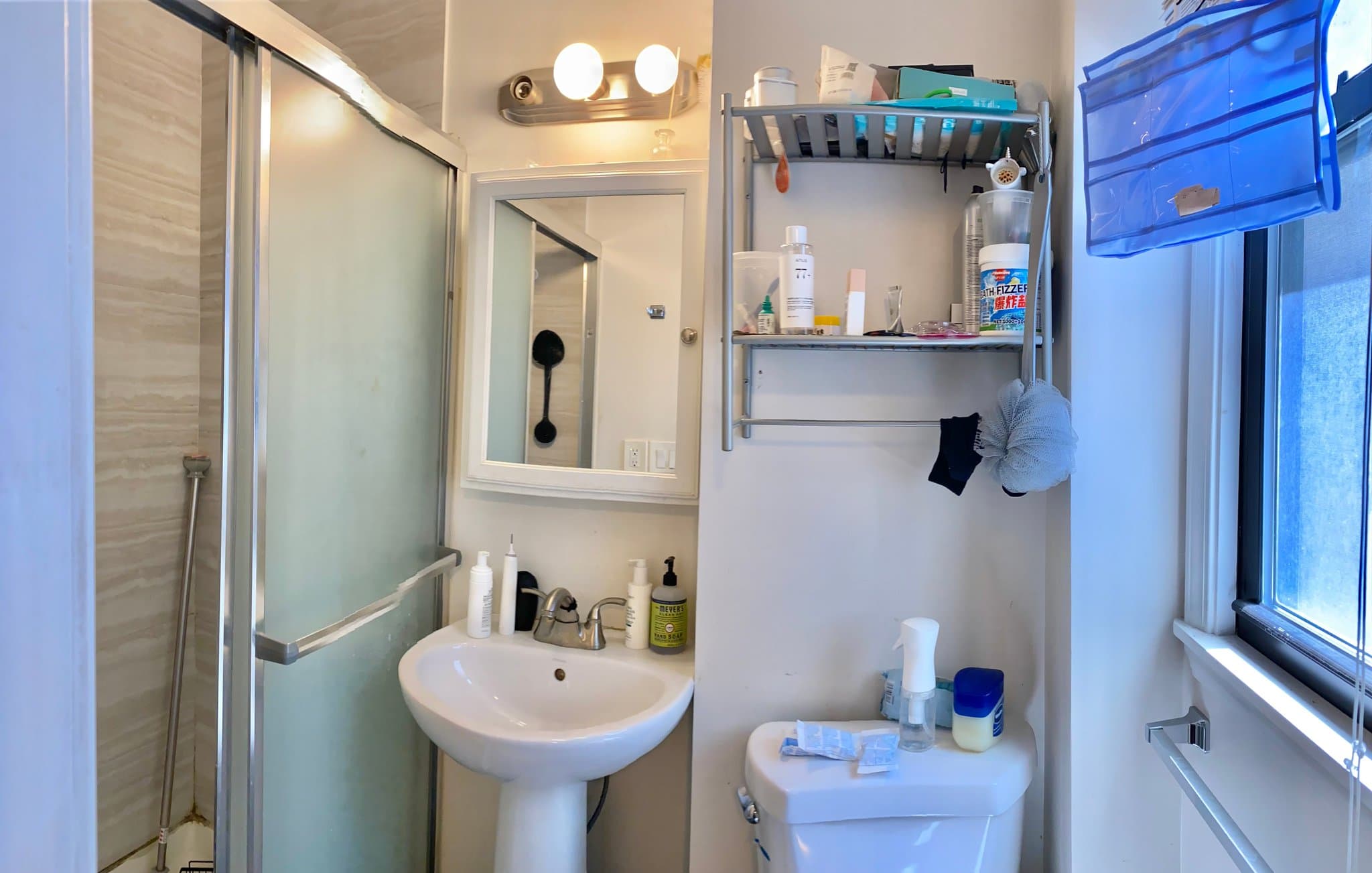 Chicago Townhome: 254 W 31st Street