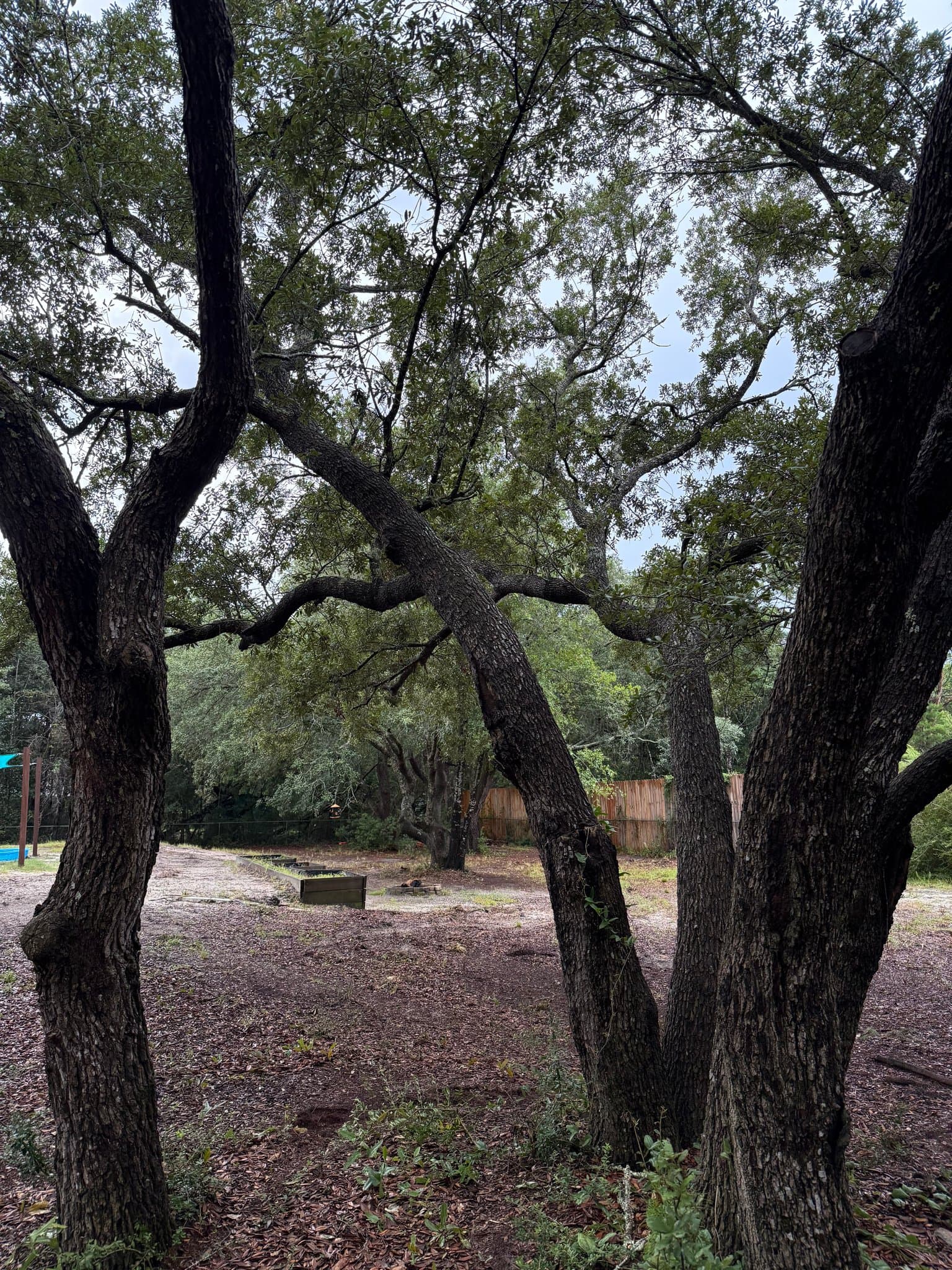 Navarre House: 2601 Edgewood Dr