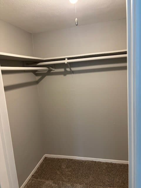 conroe Apartment: 311 Gladstell st