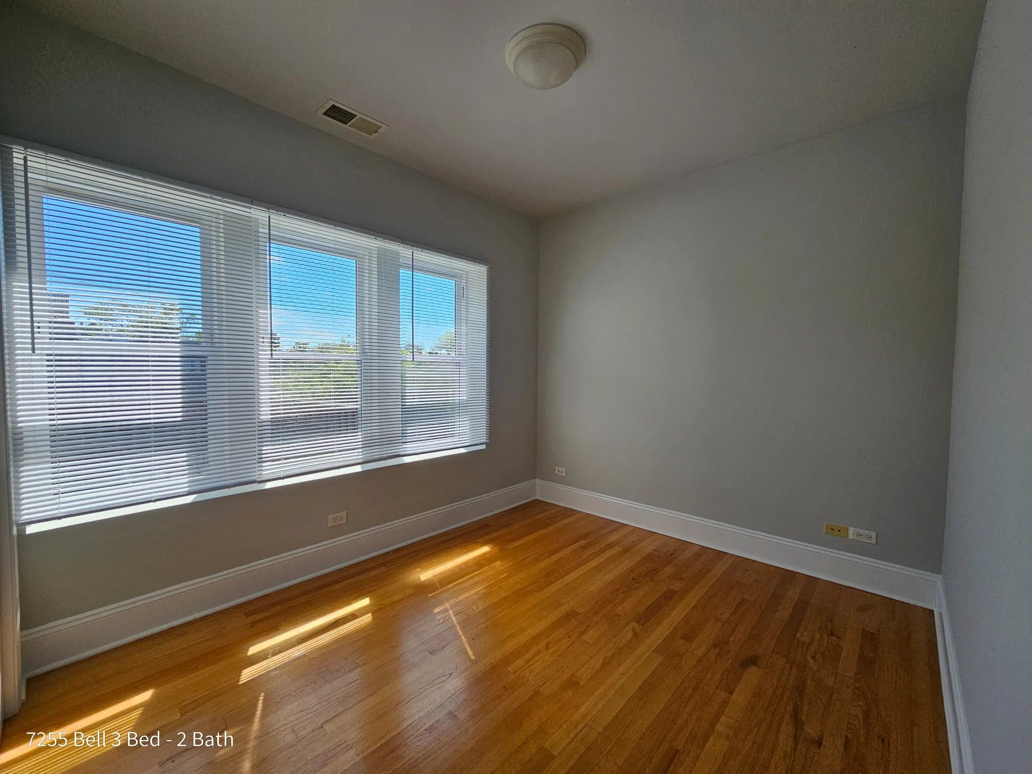 Chicago Condo: 7257 N Bell Ave