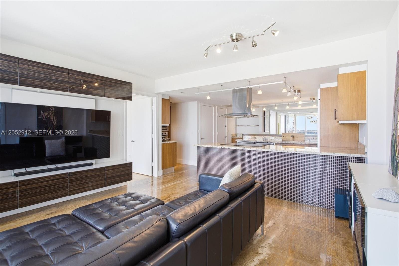 MIAMI Condo: 50 Biscayne Blvd