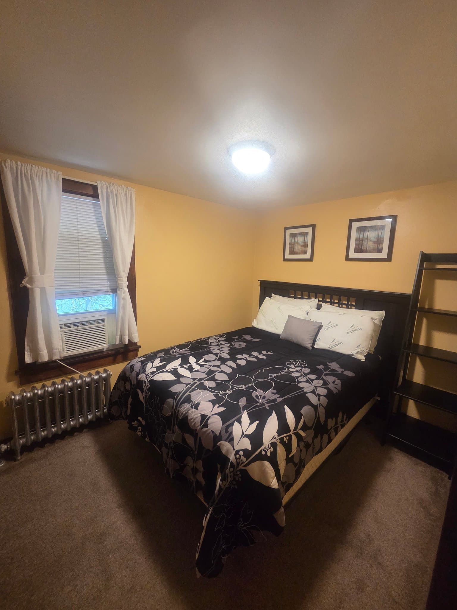 Vestal Apartment: 113 Clark Street