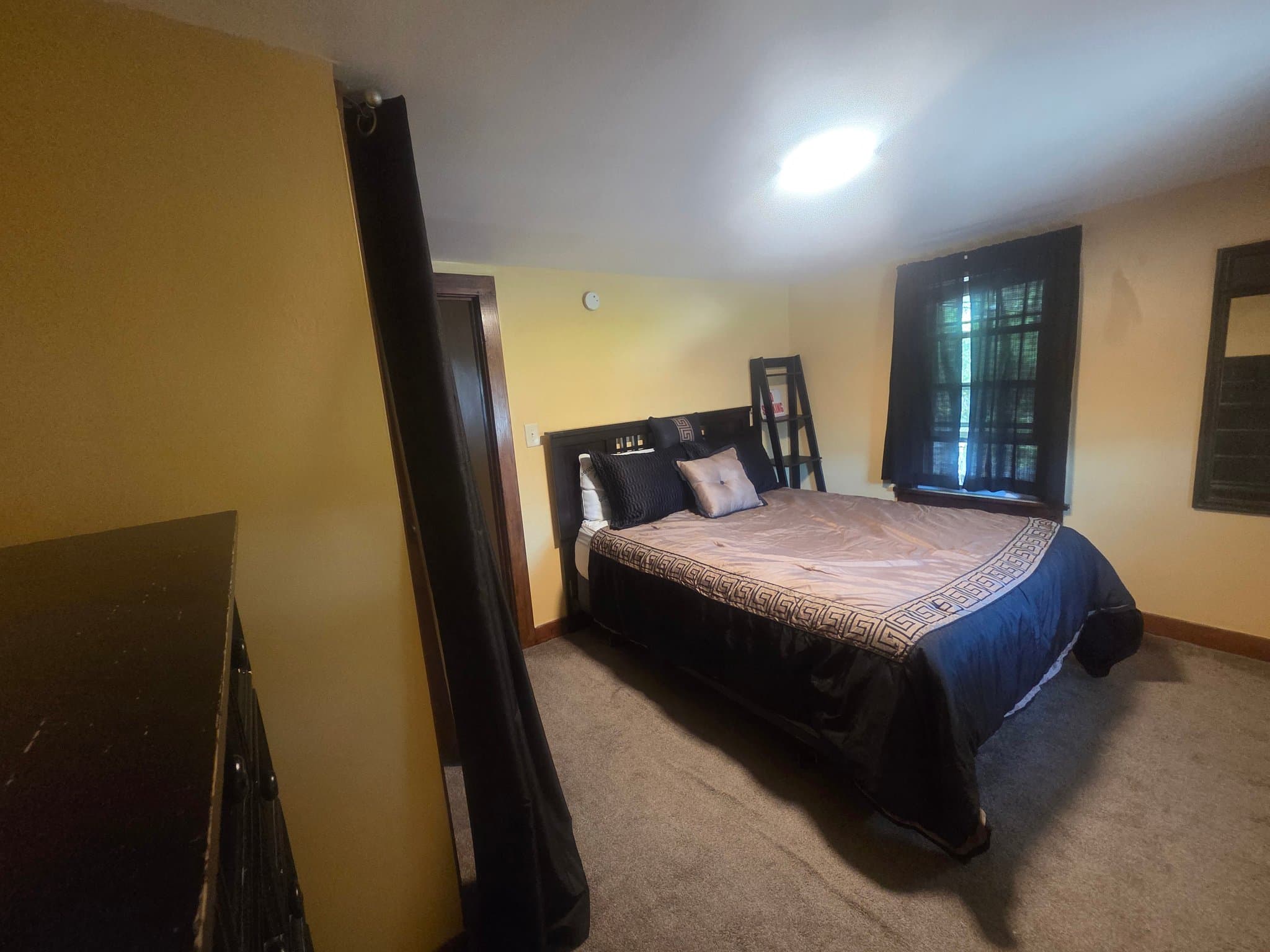 Vestal Apartment: 113 Clark Street